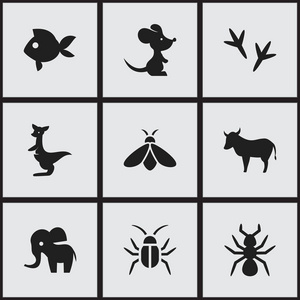 9 可编辑动物园图标集。包括多宝鱼 牛 蟑螂等符号。可用于 Web 移动 Ui 和数据图表设计