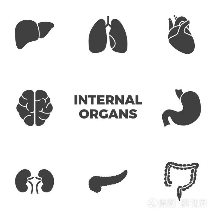 内脏标志符号图标