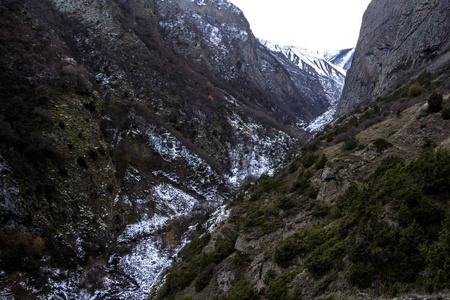 野生自然山风景