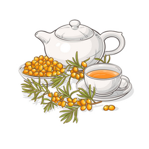 沙棘茶矢量插图白色背景插画