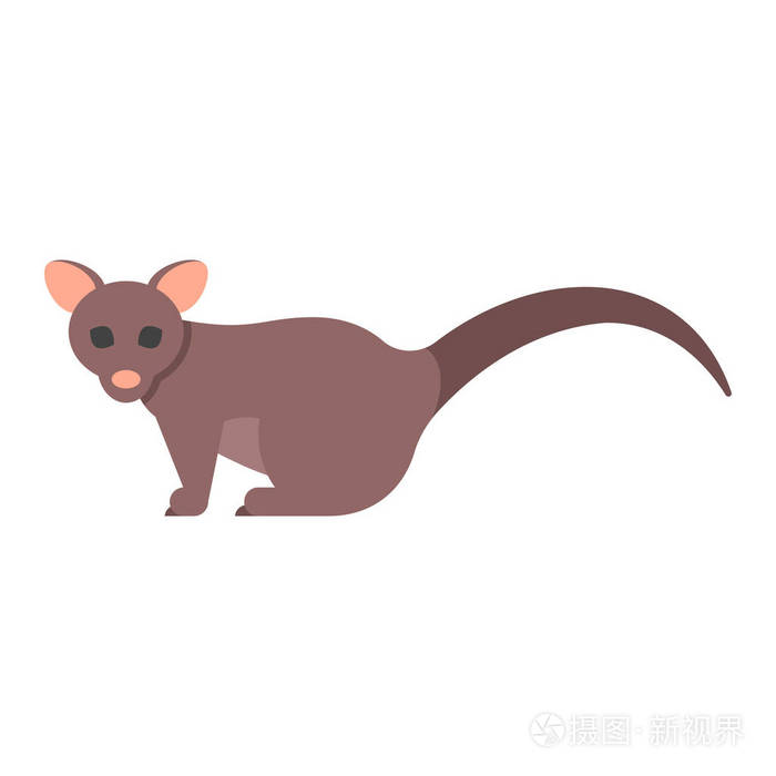 帚尾袋貂矢量平面样式图