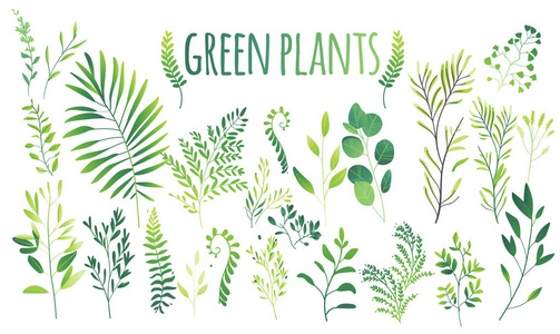 矢量卡通抽象绿色植物花卉草药图标集