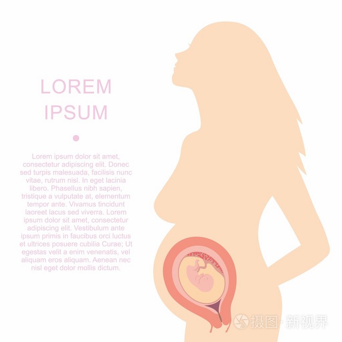 孕妇与胚胎剪影的插图