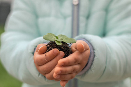 孩子拿着生长的植物在她的手