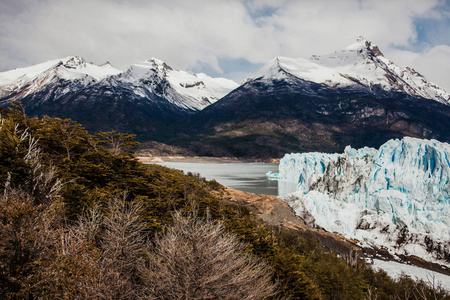 专家棕色冰川阿根廷卡拉法特巴塔哥尼亚