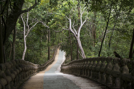 楼梯和路径 a 柬埔寨磅汤姆市附近的金边 Santuk 寺