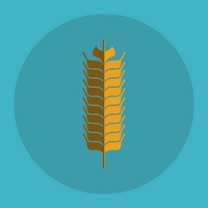 小麦的图标。粮食设计。农业概念
