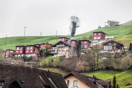 对英格堡，瑞士冬季景观美丽模糊的看法