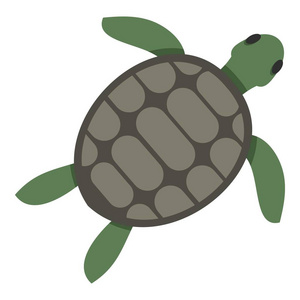 孤立的绿海龟图标