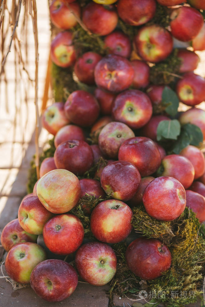 夏天, 一堆美味的成熟甜多汁的红苹果躺在户外的苔藓上.
