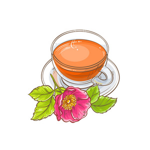白色背景狗玫瑰茶插图照片