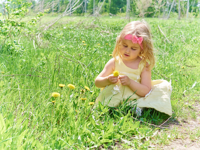 女孩坐在草地与蒲公英的花上