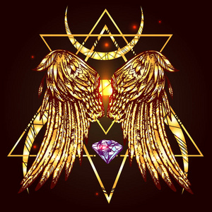 金色的翅膀的鸟照片