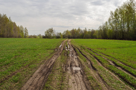 潮湿的土壤图片
