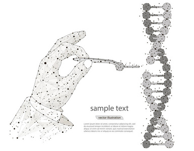抽象设计人工基因工程。用裸手镊子操纵 Dna 双螺旋。在白色背景下从低聚线框中分离出来。矢量抽象多边形图像混合