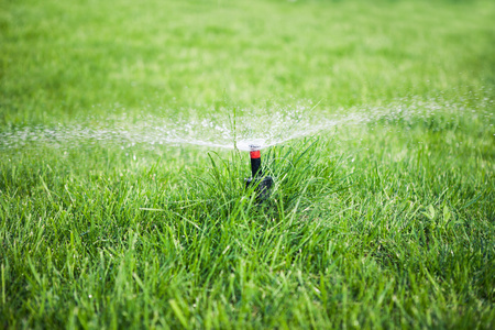 园林洒水图片-园林洒水素材-园林洒水插画-摄图新视界