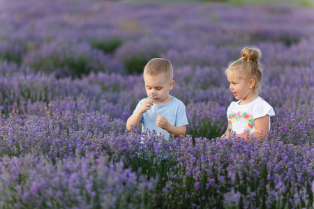 顽皮的小可爱的情侣女孩走在紫色的薰衣草花草地田野背景上, 玩得开心, 玩耍, 享受晴天的好天气。兴奋的小孩子们。家庭日, 孩子