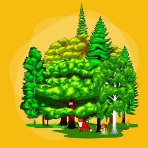 夏季绿森林树孤立在白色背景上。卡通矢量设置在室外公园树木。在支，foliagles 和叶子。野生植物动物