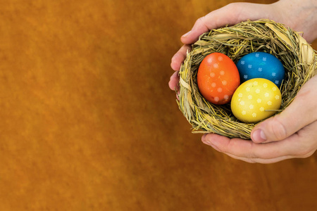 鸟巢彩色彩蛋节日象征复活节在手上的木质背景和复制空间