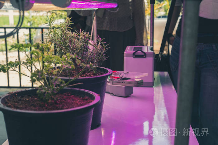 小道具ブローホール骨髄植物栽培用led 長老関連付ける削除する