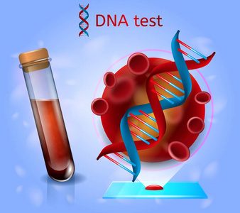 Dna 实验室血液测试的现实向量概念