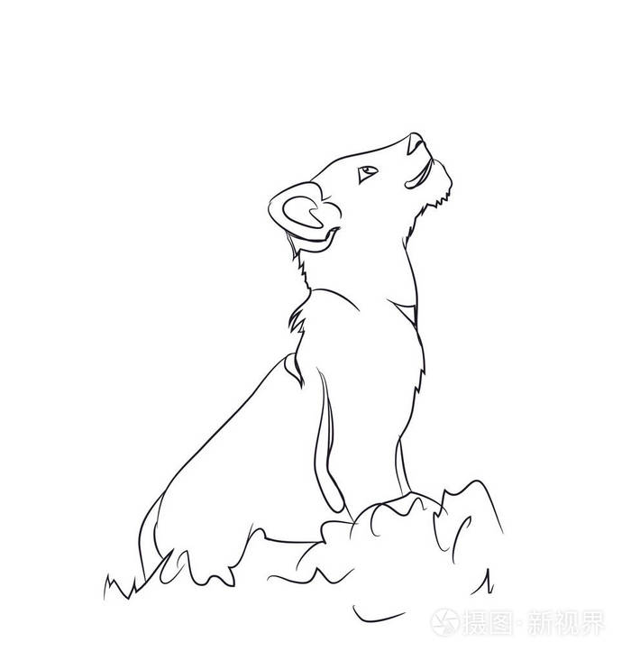 狮子幼崽坐, 线, 向量.白色背景插画-正版商用图片0qtwdo-摄图新视界