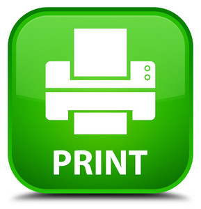 打印 打印机图标 绿色方形按钮