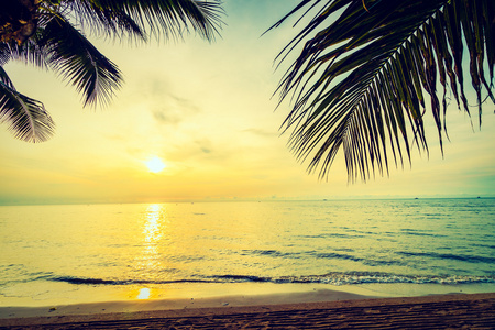 美丽的椰子棕榈树在沙滩上