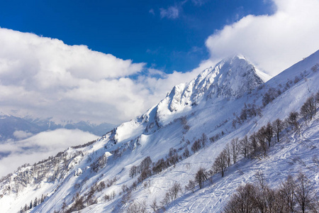 冬天山上风景顶视图