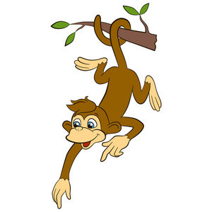 小可爱的猴子倒挂着照片