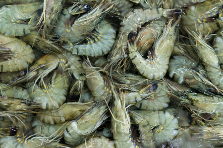 在热带的巴厘岛,印度尼西亚当地市场的虾.海鲜背景照片