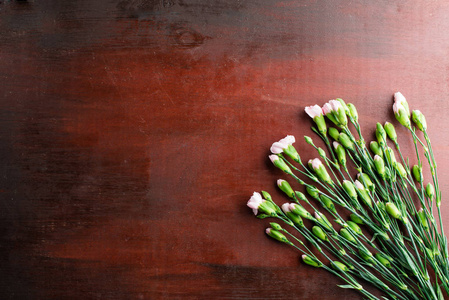 新鲜康乃馨花在木桌的抽象背景上
