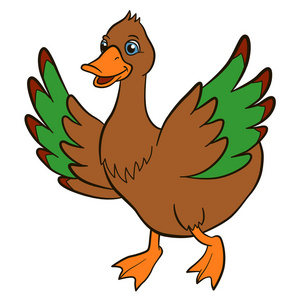 小可爱的鸭子挥动她的翅膀.照片