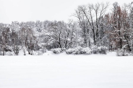 寒冷湖泊冰雪场与莫斯科城市 Timiryazevskiy 公园的景观