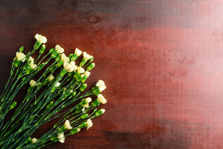 新鲜康乃馨花在木桌的抽象背景上