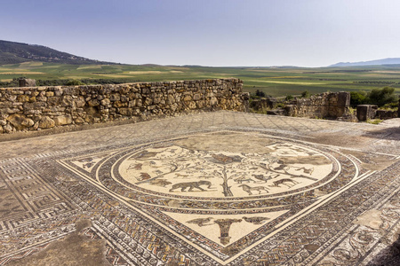 在古罗马帝国城市，教科文组织世界文化遗产地转动考古现场的俄耳甫斯房子的地板马赛克