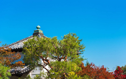 在老城市的看法反对蓝色天空, 京都, 日本。复制文本空间