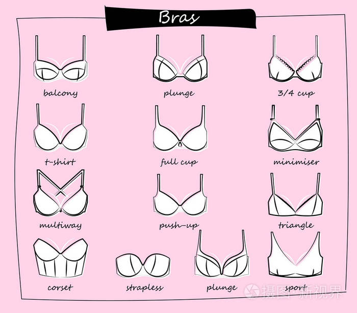 不同类型的胸罩.所有类型的胸罩.矢量