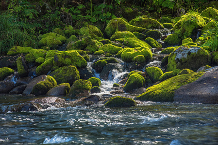 在阿勒泰快速山区河流图片