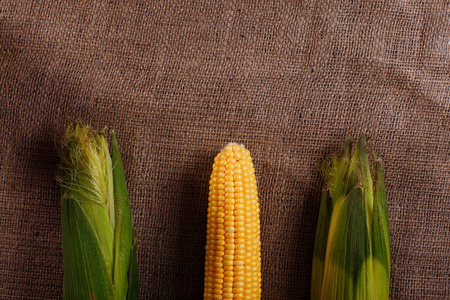 成熟的玉米在木质的背景谷物。生食。天然玉米