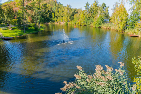 一个风景如画的景观, 在池塘里的一个小喷泉与明亮的绿色植被的银行和反映在水中树木