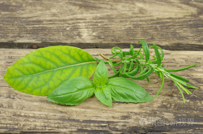 草本植物罗勒迷迭香和月桂树