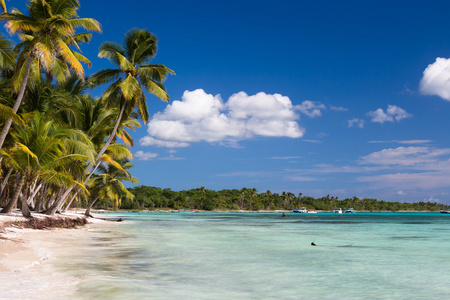 美丽的加勒比海滩上两岛，多米尼加共和国