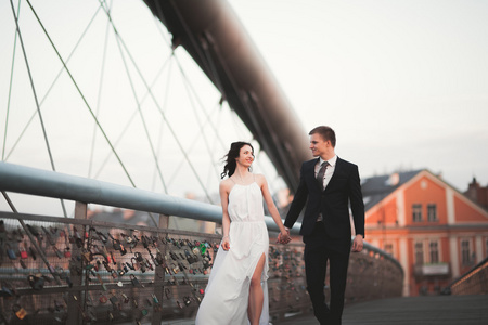 华丽的新婚夫妇，新娘和新郎在克拉科夫桥上摆姿势