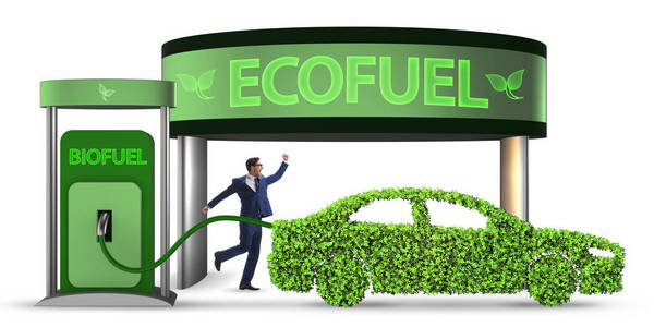 生物燃料概念与生态保护