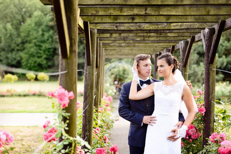 新婚夫妇在公园旁边美丽的蔷薇粉色玫瑰插画