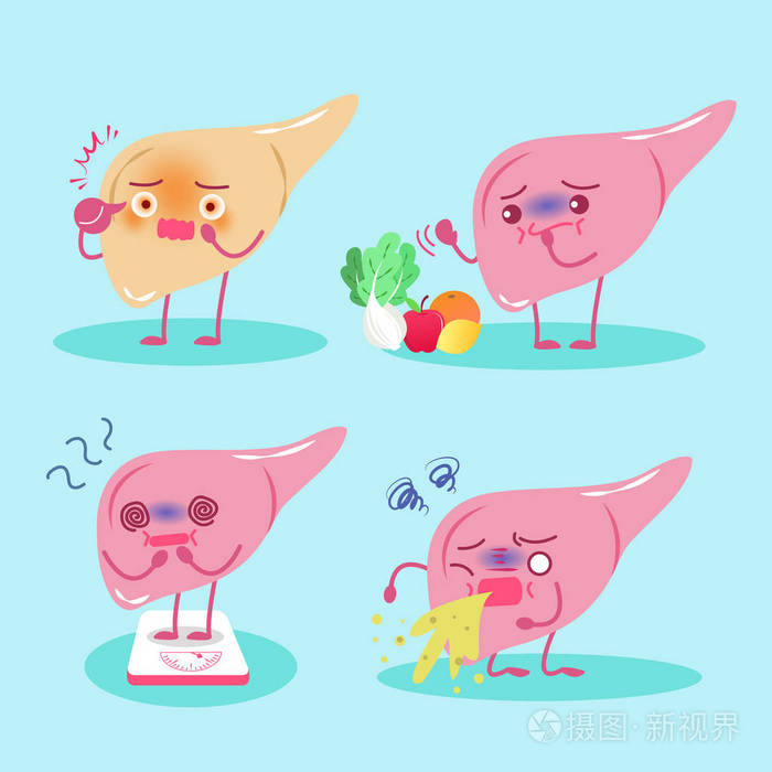 肝脏的健康概念