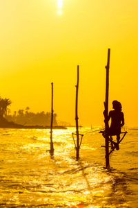 斯里兰卡的传统渔民在 sanset 上。在淤泥上的钓鱼是