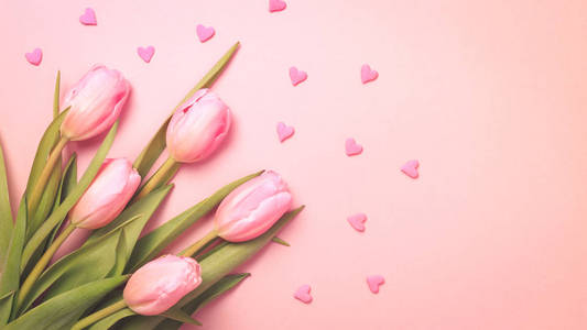 粉红色的心洒在粉红色的背景上的粉红色郁金香。佛罗里达州