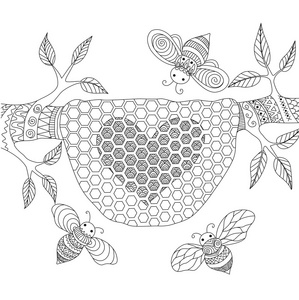 蜜蜂蜂巢金黄色图片